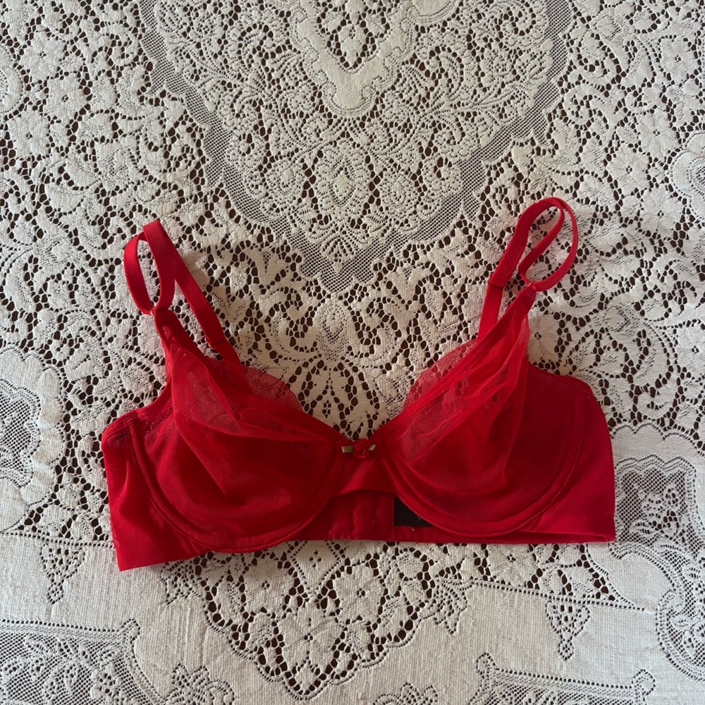 red mesh bra with rosette size 34b